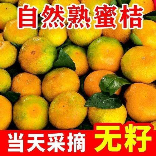 红橘子水果